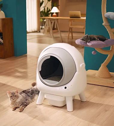 Automatic Cat Litter Box